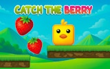 Catch the Berry Online Platform Adventure Game Arcade Game