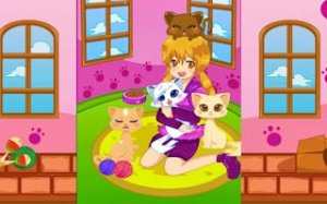 Kitty Shelter Care Simulator
