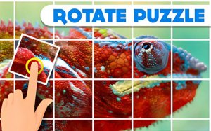Rotate Puzzle Game Online