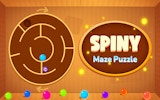 Spiny Maze Puzzle: Ball Drop Challenge