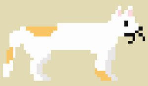 Nine Lives Cat Mini Games Online