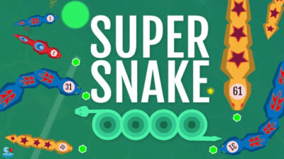 Snake Arena Arcade Game